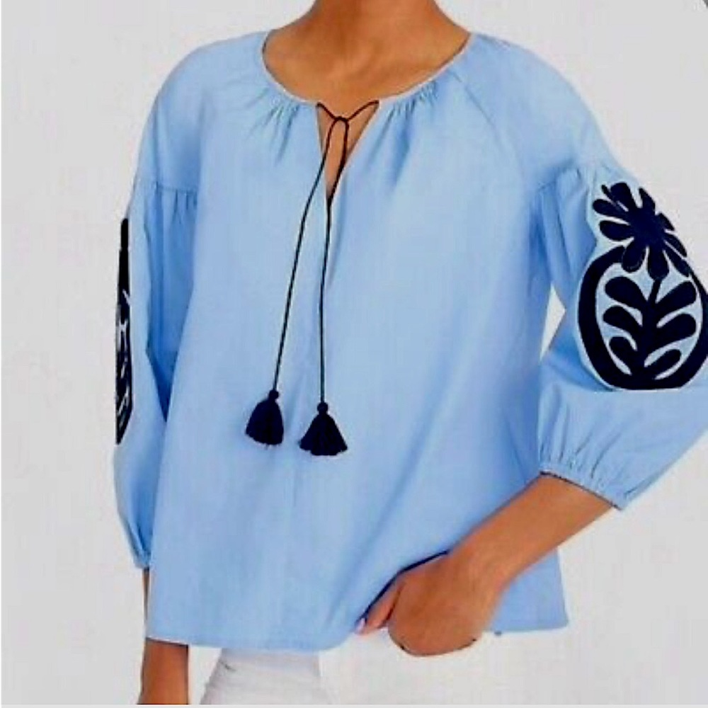 J. Crew Pastel Blue Embroidered Blouse